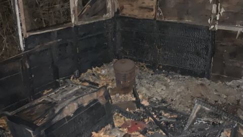 Finch-Senlac Land photo 5