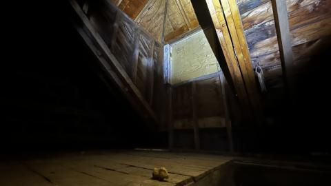 Sand Pipes - IMG_4629.JPG