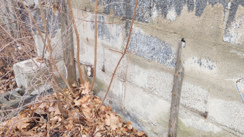 Foundations at Bloor/Auckland photo 2