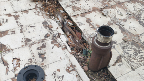 Foundations at Bloor/Auckland photo 4