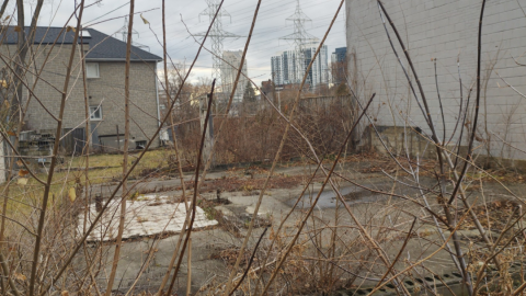 Foundations at Bloor/Auckland photo 3