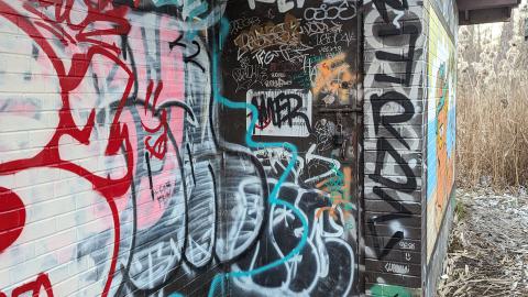 Hidden in the marsh - PXL_20231219_214247776.jpg