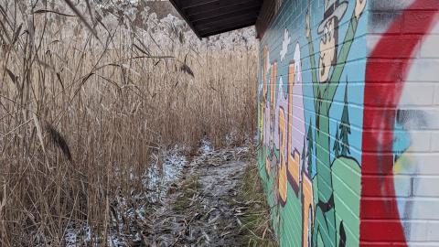 Hidden in the marsh - PXL_20231219_214252017.MP.jpg