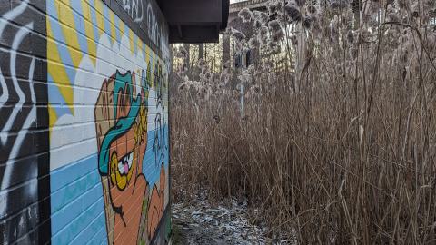 Hidden in the marsh - PXL_20231219_214312770.jpg