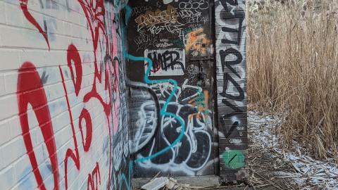 Hidden in the marsh - PXL_20231219_214334567.jpg