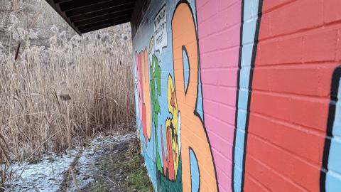 Hidden in the marsh - PXL_20231219_214751057.jpg