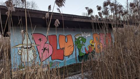 Hidden in the marsh - PXL_20231219_214913774.jpg