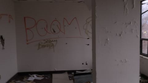 Black Mold Supreme - B29F98E0-9392-4088-A737-4DBAA630F21B.jpeg