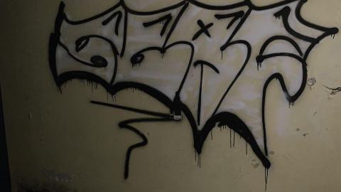 Black Mold Supreme - D9DEB844-6839-4BF2-B2EB-FCC838FF60D8.jpeg