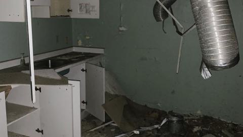 Black Mold Supreme - 0E601E0B-CF6B-47FB-AEE9-A312D21FFC9A.jpeg