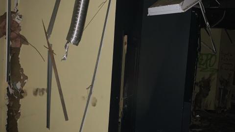 Black Mold Supreme - DFE413AA-9F88-436D-8A92-C97ADB3B4652.jpeg