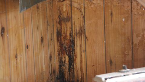 Cedar Chuckwagon - IMG_0256.JPG