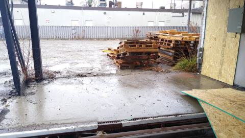 Boards! - IMG_20231228_141518216.jpg