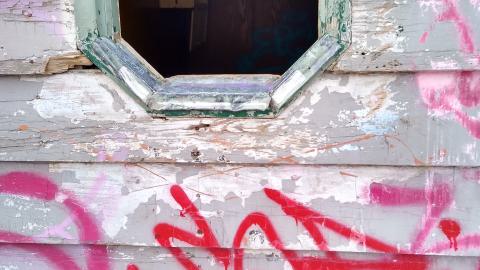 Leafs Fans Are Everywhere - IMG_20240102_134939836_HDR.jpg