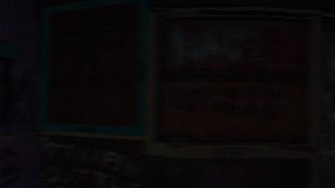 Leafs Fans Are Everywhere - IMG_20240102_135531852.jpg