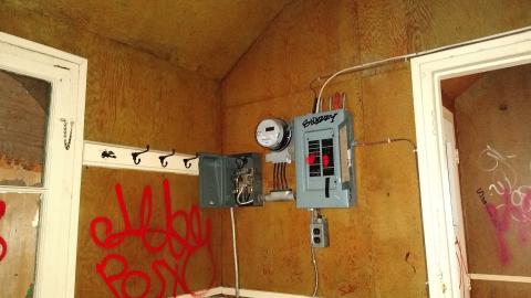 Leafs Fans Are Everywhere - IMG_20240102_135632313.jpg