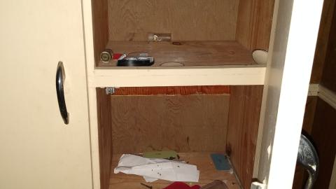 Leafs Fans Are Everywhere - IMG_20240102_140214373.jpg