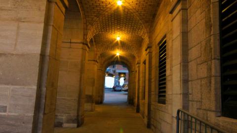 Busy Busy - IMG_9444.JPG