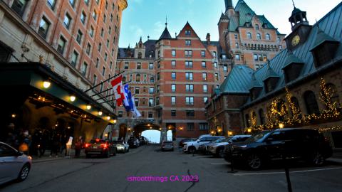 Busy Busy - IMG_9445.JPG