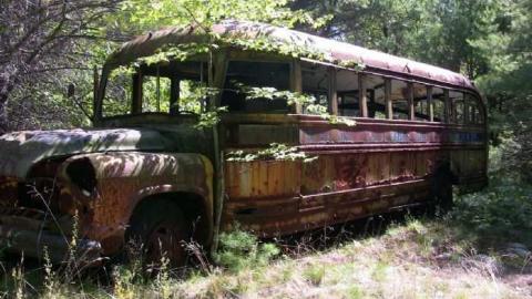 Black River Abandoned Vehicles photo 2
