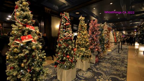 Busy Busy - IMG_9453.JPG