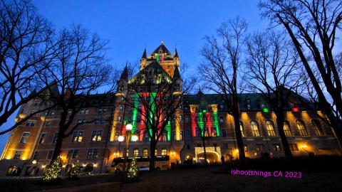 Busy Busy - IMG_9464.JPG