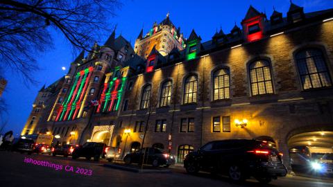 Busy Busy - IMG_9465.JPG