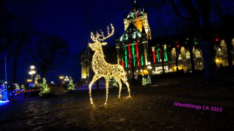 Busy Busy - IMG_9468.JPG