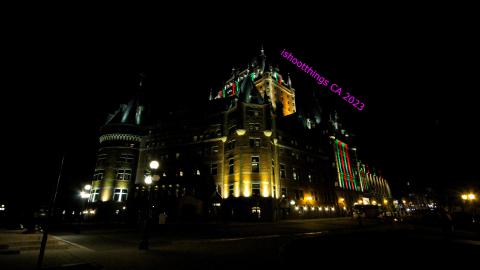 Busy Busy - IMG_9499.JPG