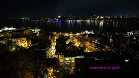 Busy Busy - IMG_9503.JPG