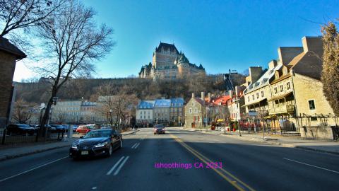 Busy Busy - IMG_9414.JPG