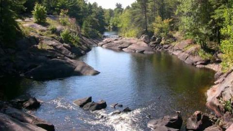 Black River Abandoned Vehicles photo 3