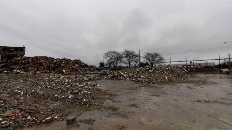 Bloodhail - _MG_5133.JPG