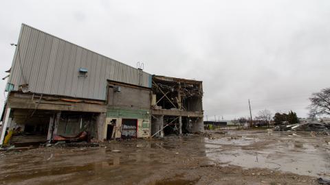 Bloodhail - _MG_5134.JPG