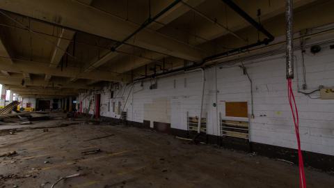 Bloodhail - _MG_5135.JPG