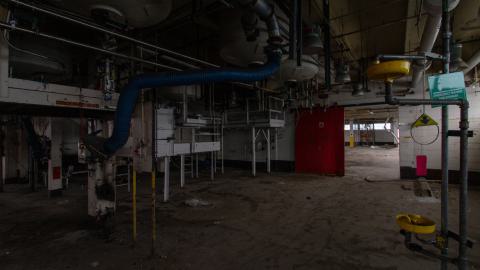 Bloodhail - _MG_5136.JPG