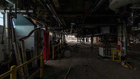 Bloodhail - _MG_5137.JPG