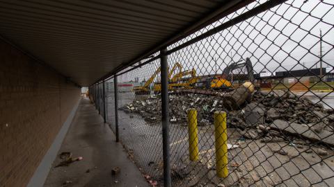 Bloodhail - _MG_5138.JPG