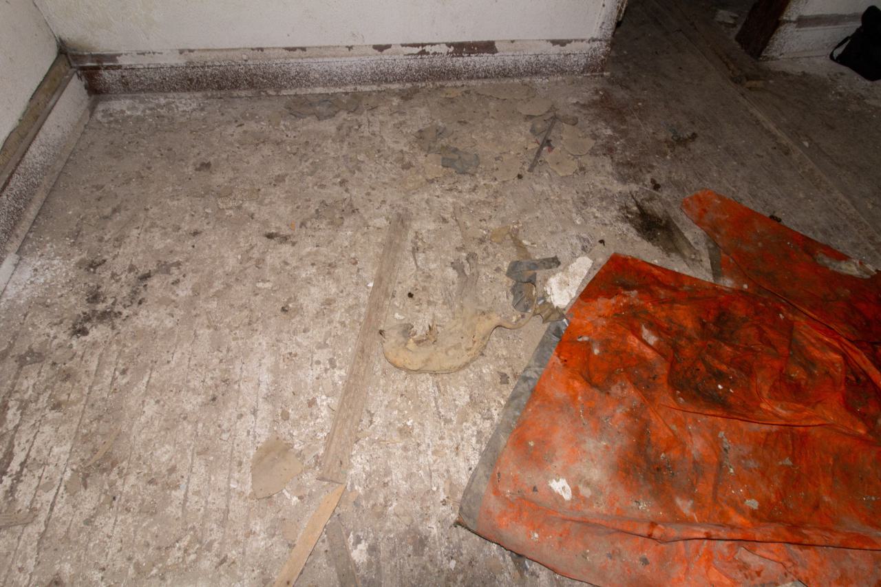 Hysteria - _MG_5104.JPG