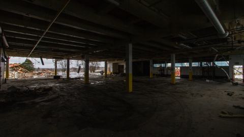 Bloodhail - _MG_5140.JPG