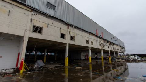 Bloodhail - _MG_5141.JPG