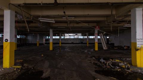 Bloodhail - _MG_5143.JPG