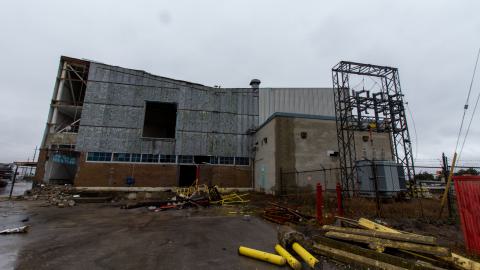 Bloodhail - _MG_5146.JPG