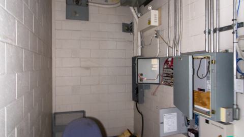 Bloodhail - _MG_5156.JPG