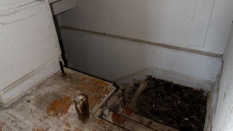 Hysteria - _MG_5123.JPG