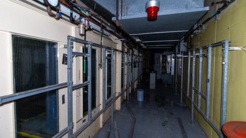 Bloodhail - _MG_5159.JPG