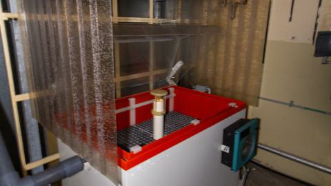 Bloodhail - _MG_5160.JPG