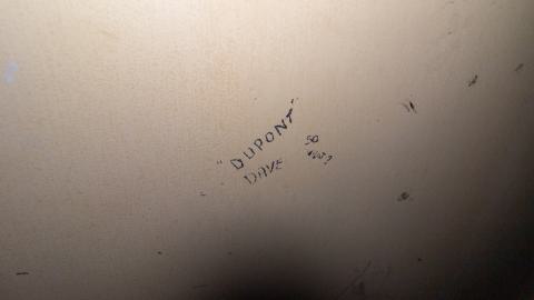 Bloodhail - _MG_5162.JPG