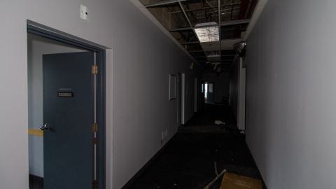 Bloodhail - _MG_5163.JPG