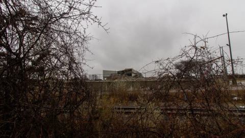 Bloodhail - _MG_5174.JPG